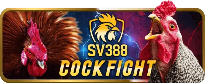 Ưu đãi độc quyền câu lạc bộ VIP